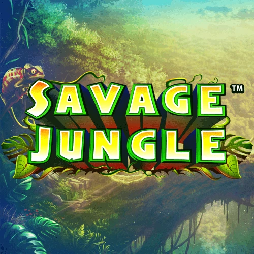 Playtech image 303